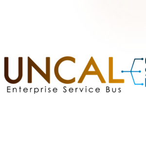 Uncal ESB Middleware Basic Package Annual Subscription